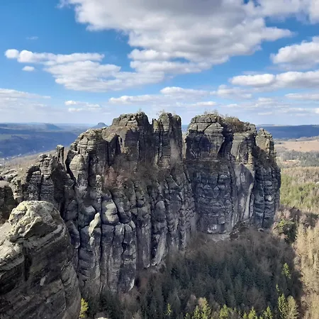 Turmfalke Reinhardtsdorf-Schona