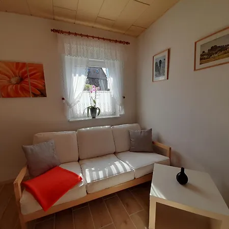 Turmfalke Reinhardtsdorf-Schona